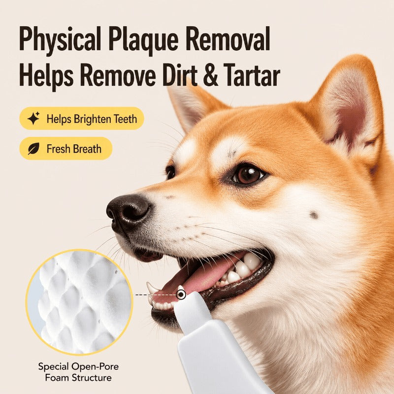 Nano Sponge Pet Tooth Cleaner