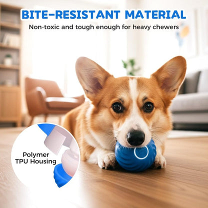 Electric Rolling Pet Toy Ball