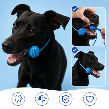 Hands-Free Dog Brushing Aid