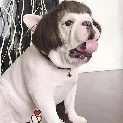 Customizable Trim-to-Fit Pet Wig