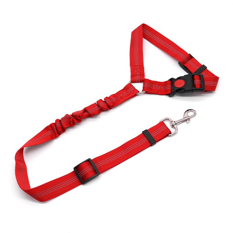 Shock-Absorbing Dog Car Restraint