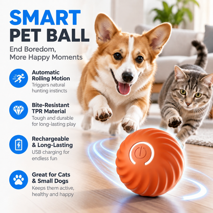 Electric Rolling Pet Toy Ball