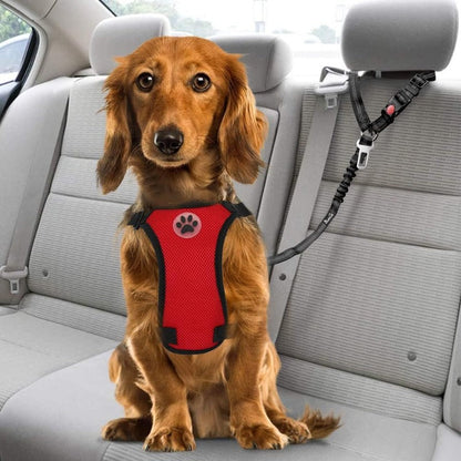 Shock-Absorbing Dog Car Restraint