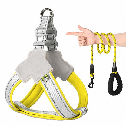 Safe Night Walk Essentials