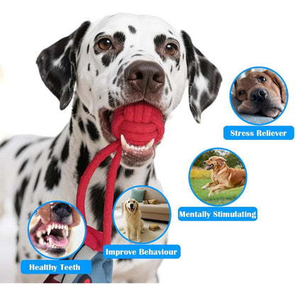 Extreme Pulling Dog Toy