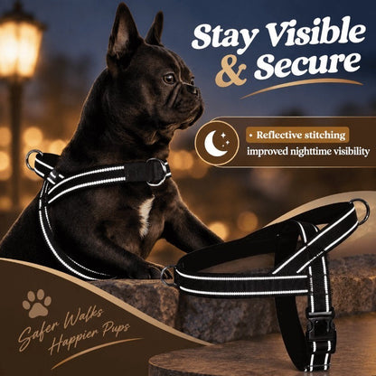 No-Pull Dog Harness