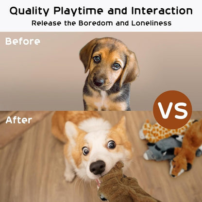 Stuffing-Free Squeaky Dog Toys
