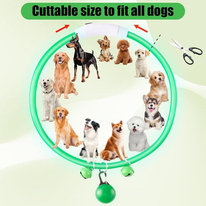 LED Dog Safety Collar