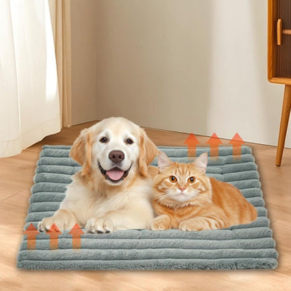 Self Warming Pet Bed
