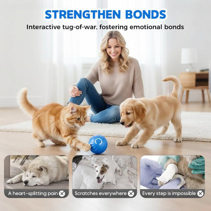 Electric Rolling Pet Toy Ball