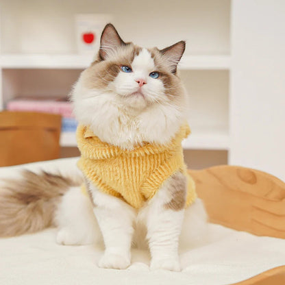 Cartoon Fleece Pet Hoodie